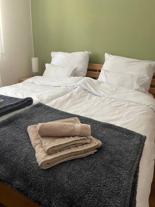 Priestranny 3 Izb. Apartman V Centre S Parkovanim. Banská Bystrica Exteriér fotografie